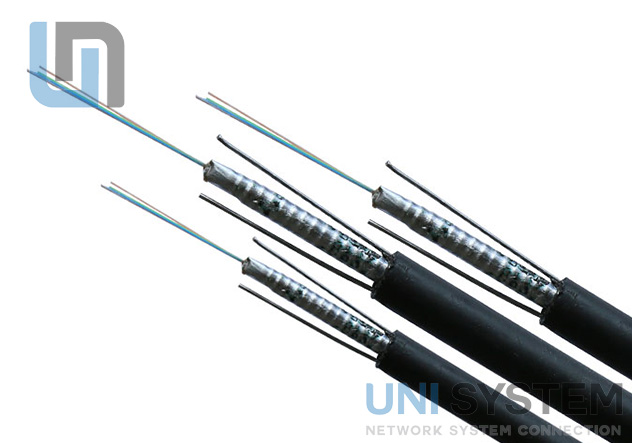 Cáp quang Multimode 12 sợi OM2 GYXTW bọc thép vỏ HDPE – Nền tảng âm thầm cho kết nối bền vững Cáp quang Multimode 12 sợi OM2 GYXTW bọc thép vỏ HDPE – Nền tảng âm thầm cho kết nối bền vững