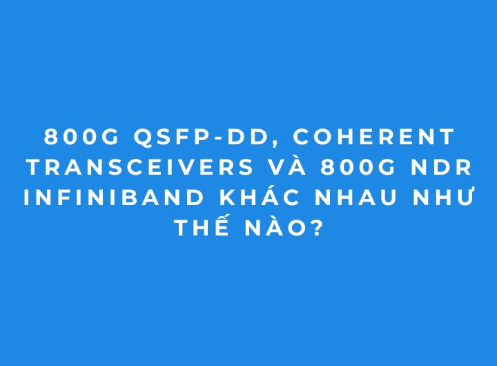 So sánh 800G QSFP-DD, Coherent và 800G NDR InfiniBand 2026