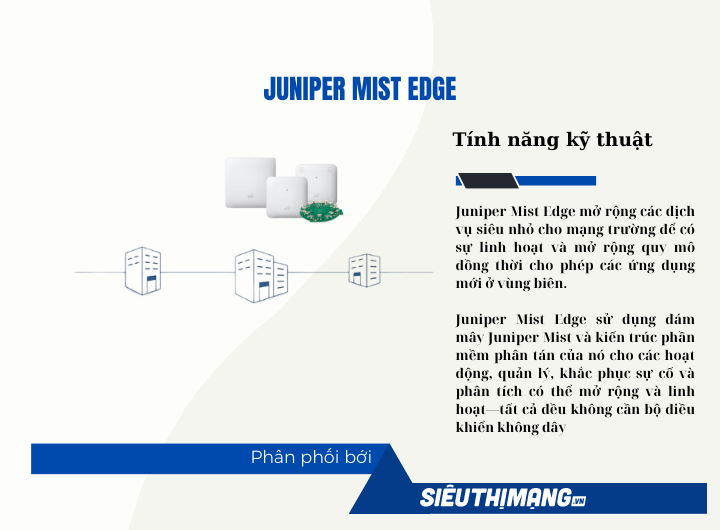 Juniper Mist