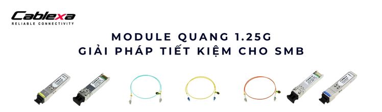 Module quang 1.25G