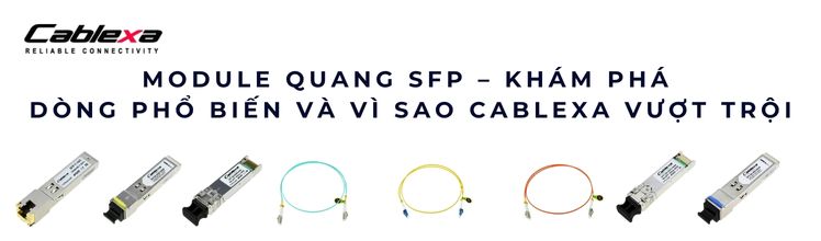 module quang SFP small form factor pluggable