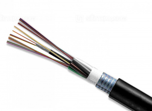 Cáp quang 12FO chôn ngầm bọc thép