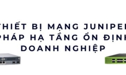Thiết Bị Mạng Juniper: Giải Pháp Hạ Tầng Ổn Định Cho Doanh Nghiệp