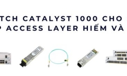 Switch Catalyst 1000 cho SMB – Giải pháp Access Layer hiếm và hiệu quả