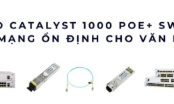 Cisco Catalyst 1000 PoE+ Switch – Giải pháp mạng ổn định cho văn phòng SMB