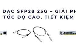 Cáp DAC SFP28 25G – Giải pháp  kết nối tốc độ cao, tiết kiệm chi phí