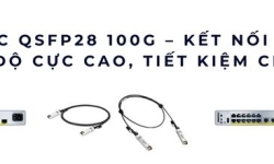 Cáp DAC QSFP28 100G – Giải pháp kết nối tốc độ cao cho server & switch