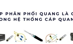 Hộp phân phối quang là gì? Cấu tạo, vai trò và ứng dụng trong mạng hiện đại