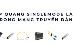 Cáp quang Singlemode là gì? Ưu điểm và ứng dụng trong mạng đường dài