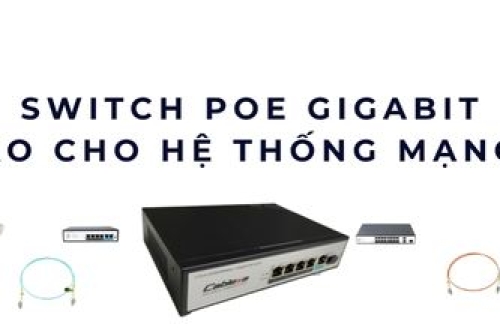 Switch PoE Gigabit – Tốc độ cao và cấp nguồn thông minh cho IoT