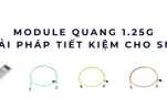 Module quang 1.25G – Giải pháp tiết kiệm và ổn định cho doanh nghiệp SMB