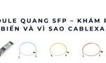 Module quang SFP – Khám phá dòng phổ biến và vì sao Cablexa vượt trội