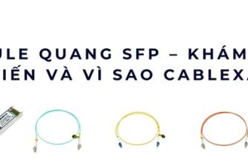 Module quang SFP – Khám phá dòng phổ biến và vì sao Cablexa vượt trội