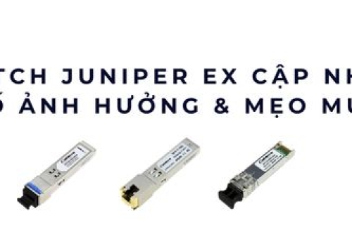 Giá Switch Juniper EX cập nhật 2025 – Yếu tố ảnh hưởng & mẹo mua tốt