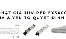 Cập nhật giá Juniper EX3400 2025 – Bảng giá & yếu tố quyết định chi phí