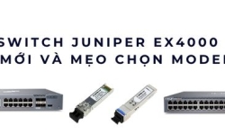 Giá Switch Juniper EX4000 2025 – Bảng giá mới và mẹo chọn model phù hợp