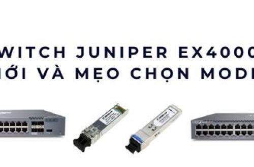 Giá Switch Juniper EX4000 2025 – Bảng giá mới và mẹo chọn model phù hợp