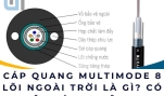 Cáp quang multimode 8 lõi ngoài trời là gì? Có nên dùng không?