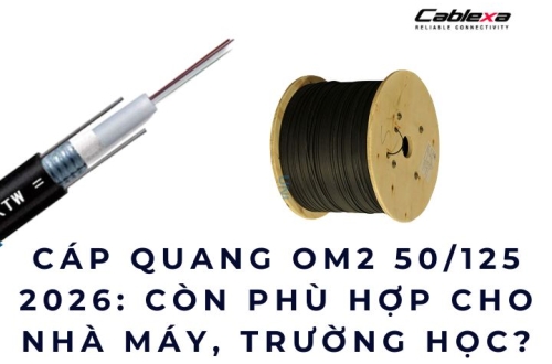 Cáp quang OM2 50/125 năm 2026: Còn phù hợp cho nhà máy, trường học?