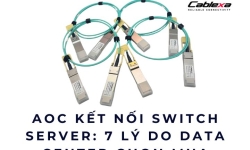 AOC kết nối switch server: 7 lý do Data Center chọn mua