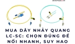 Mua dây nhảy quang LC-SC: Chọn đúng để nối nhanh, suy hao thấp