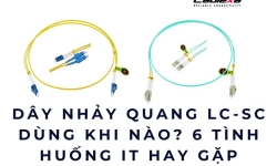 Dây nhảy quang LC-SC dùng khi nào? 6 tình huống IT hay gặp
