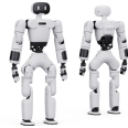 Robot AI