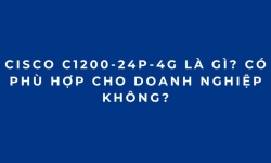 Cisco C1200-24P-4G Là Gì? Có Phù Hợp Cho Doanh Nghiệp Không?