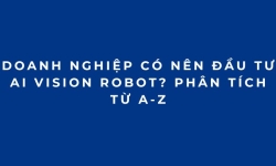 Doanh nghiệp có nên đầu tư AI Vision Robot? Phân tích từ A-Z