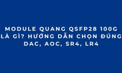 Module quang 100G QSFP28 là gì? Cách chọn đúng SR4, LR4, CWDM4 Cablexa